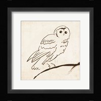 Owl II Fine Art Print