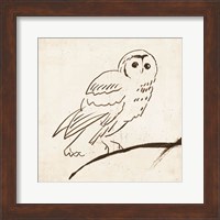 Owl II Fine Art Print