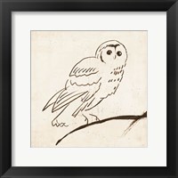 Owl II Framed Print