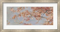 Osaka Blossoms I Fine Art Print