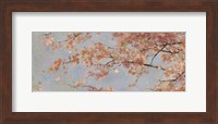 Osaka Blossoms I Fine Art Print