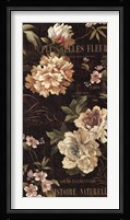 Fleurs Antique II Framed Print