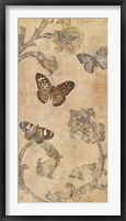 Papillion Decoratif II Fine Art Print