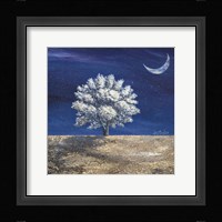 Albero dei sogni Fine Art Print