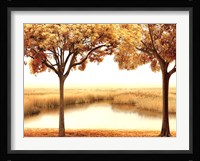 Golden Morning II Framed Print
