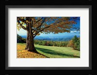 Blue Ridge Beauty Fine Art Print