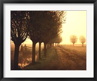 Misty Morning Fine Art Print