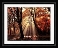 Dressed to Shine Fine Art Print