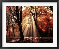 Dressed to Shine Fine Art Print