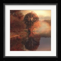 Summer Reflections Fine Art Print