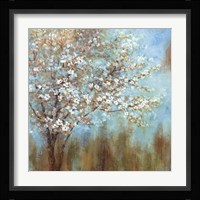 Cherry Blossoms Fine Art Print