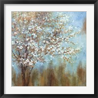 Cherry Blossoms Fine Art Print