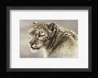 Serenity Fine Art Print