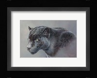 Shadow Hunter Fine Art Print