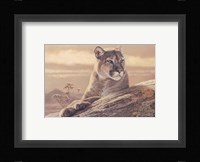 Desert Sunrise Fine Art Print