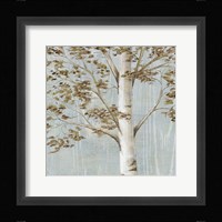 Birch Study I Fine Art Print