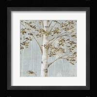 Birch Study II Fine Art Print