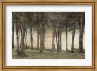 Forest Fine Art Print