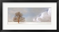 Alone in the Whiteness Fine Art Print