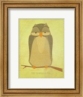 The Sensible Owl Fine Art Print