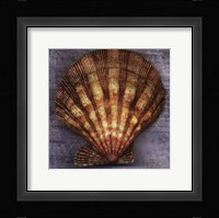 Blush Rose Framed Print