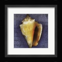 Fighting Conch Fine Art Print