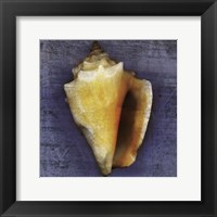 Fighting Conch Fine Art Print