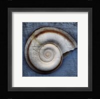 Snail Fine Art Print