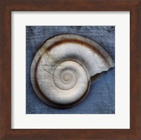 Snail Fine Art Print