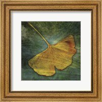 Gingko 3 Fine Art Print