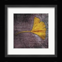 Gingko 4 Framed Print