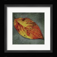Dogwood Yellow Framed Print