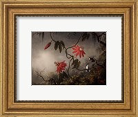Passion Flowers and Hummingbirds, about 1870-83 Fine Art Print