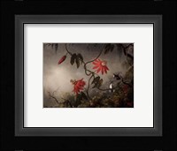 Passion Flowers and Hummingbirds, about 1870-83 Fine Art Print