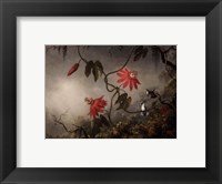 Passion Flowers and Hummingbirds, about 1870-83 Fine Art Print