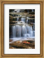 Waterfall Whitecap Stream Fine Art Print