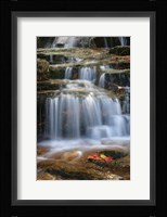Waterfall Whitecap Stream Fine Art Print