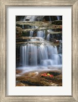 Waterfall Whitecap Stream Fine Art Print