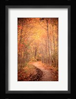 Winding Autumn Path Fine Art Print