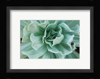 Topsy Turvy Fine Art Print
