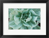 Topsy Turvy Fine Art Print