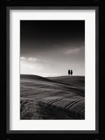 Late Afternoon Sunset on Twin Cypresses Fine Art Print