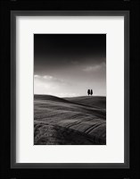 Late Afternoon Sunset on Twin Cypresses Fine Art Print