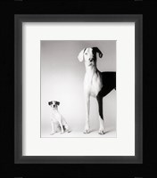 Domino and Daisy Fine Art Print