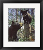 Stump Jumper Fine Art Print