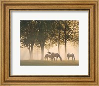 Horses in the mist Fine Art Print