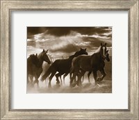 Running Horses & Sunbeams Fine Art Print