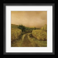 Sunset Cornfield Fine Art Print