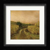 Sunset Cornfield Fine Art Print