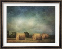 Hay Rolls Fine Art Print